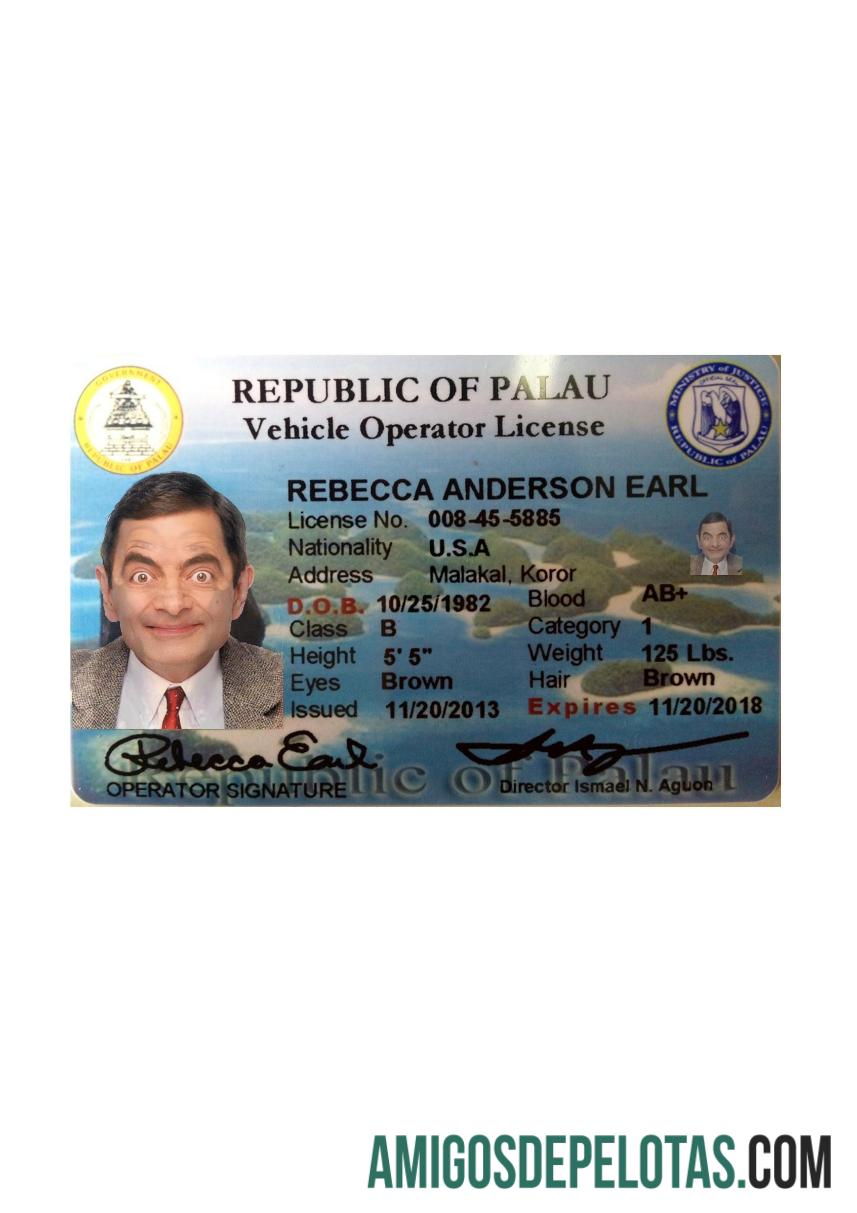 Frente da carteira de motorista de Palau exemplo real